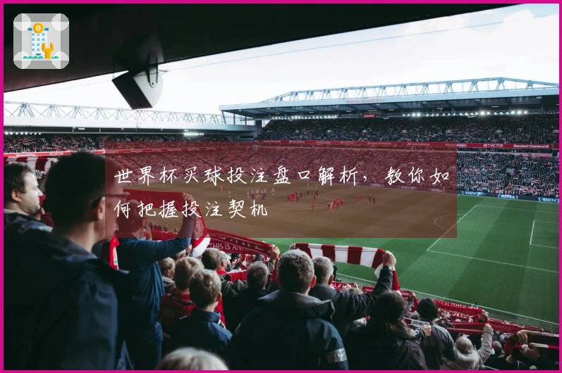世界杯买球投注盘口解析，教你如何把握投注契机
