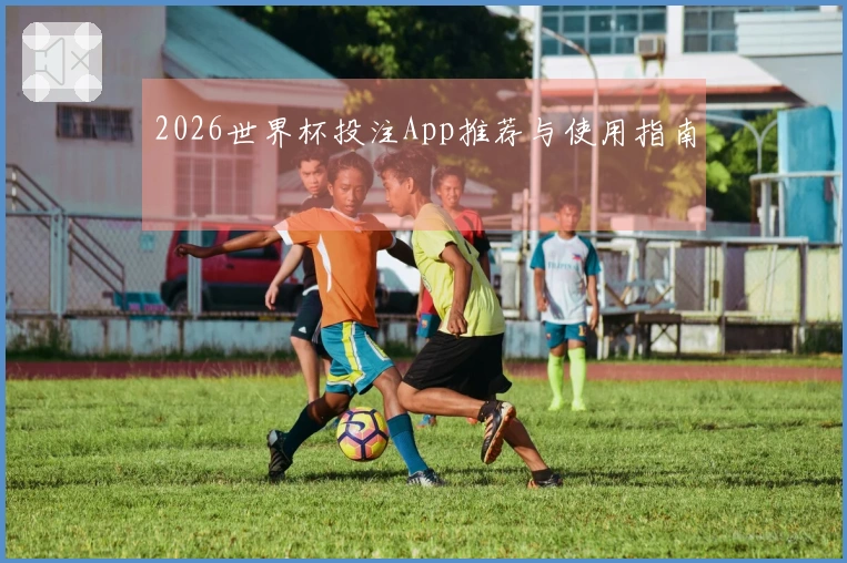 2026世界杯投注App推荐与使用指南