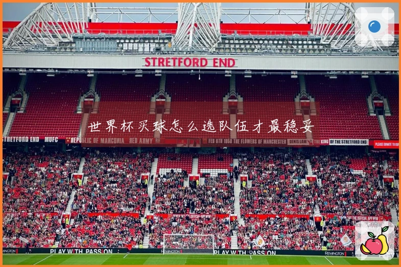 世界杯买球怎么选队伍才最稳妥