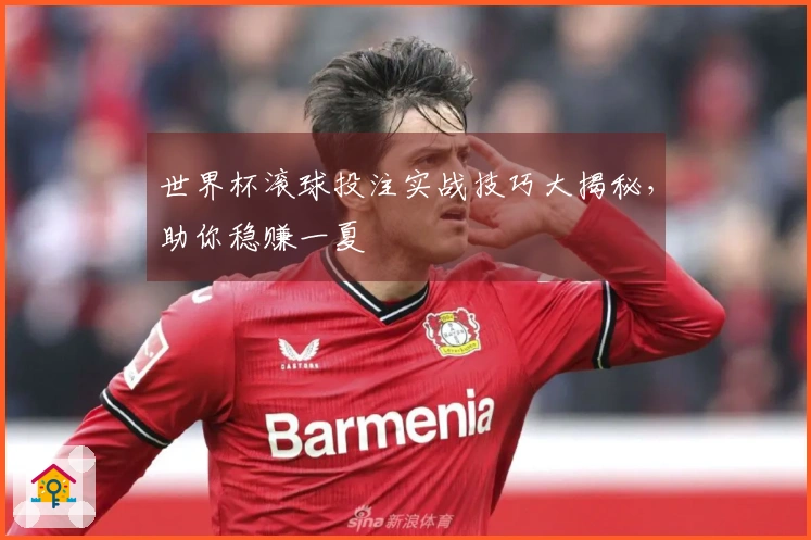 世界杯滚球投注实战技巧大揭秘，助你稳赚一夏