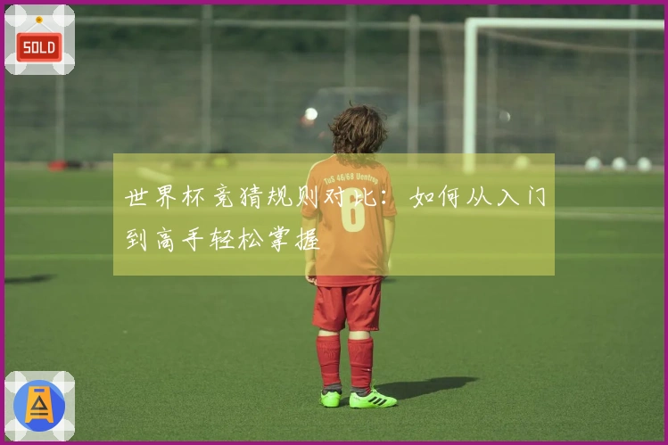 世界杯竞猜规则对比：如何从入门到高手轻松掌握