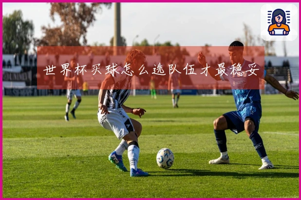 世界杯买球怎么选队伍才最稳妥