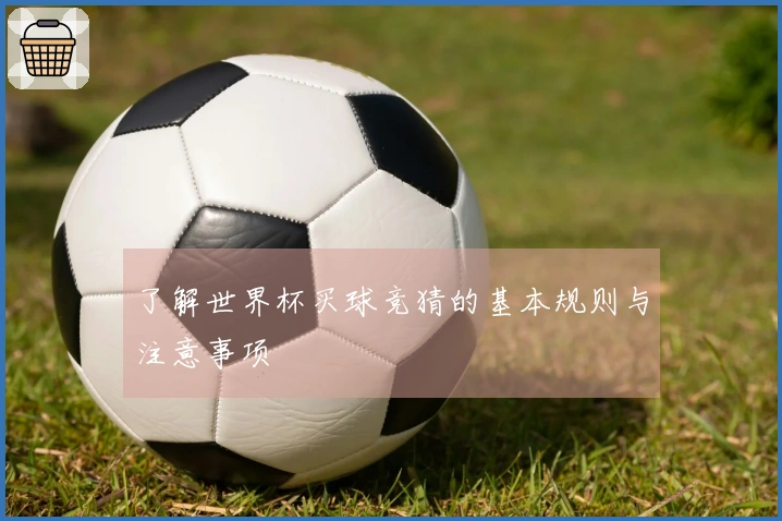 了解世界杯买球竞猜的基本规则与注意事项