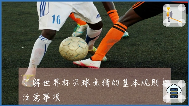 了解世界杯买球竞猜的基本规则与注意事项
