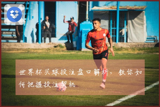 世界杯买球投注盘口解析，教你如何把握投注契机