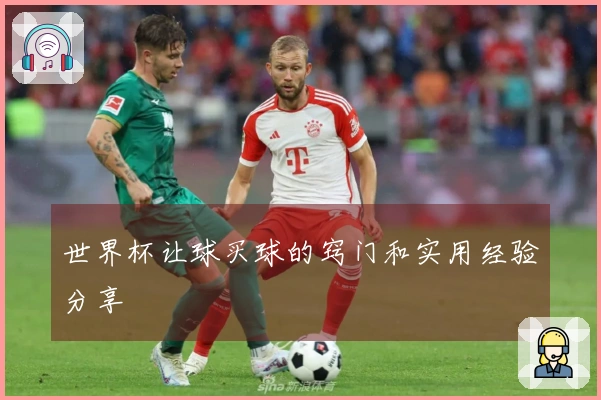 世界杯让球买球的窍门和实用经验分享