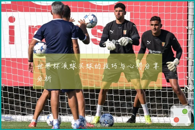 世界杯滚球买球的技巧与心得分享分析