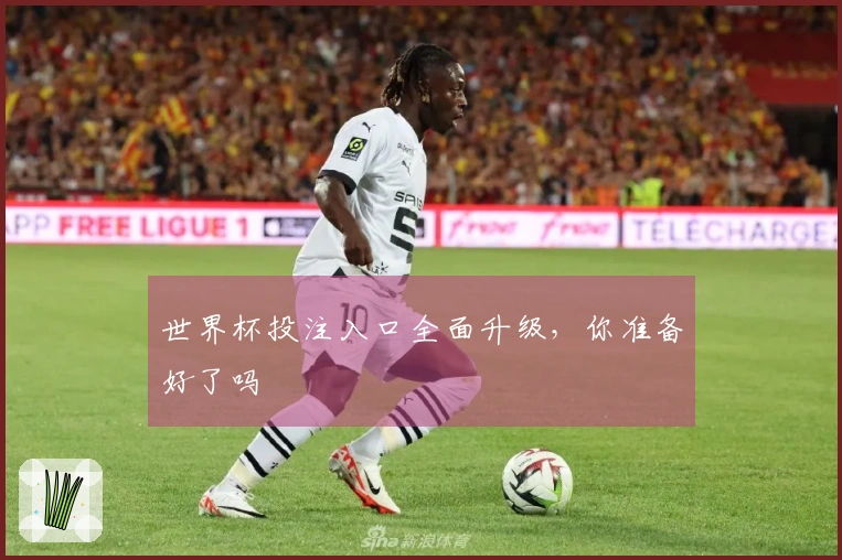 世界杯投注入口全面升级，你准备好了吗