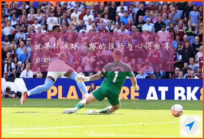 世界杯滚球买球的技巧与心得分享分析